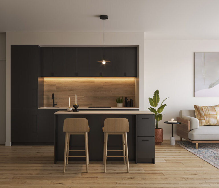 Dark_Scheme_Kitchen_Westbend_Residences_in_Toronto_by_Mattamy_Homes
